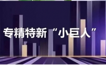 深度揭秘全國(guó)4762家“專精特新”小巨人(rén)企業！